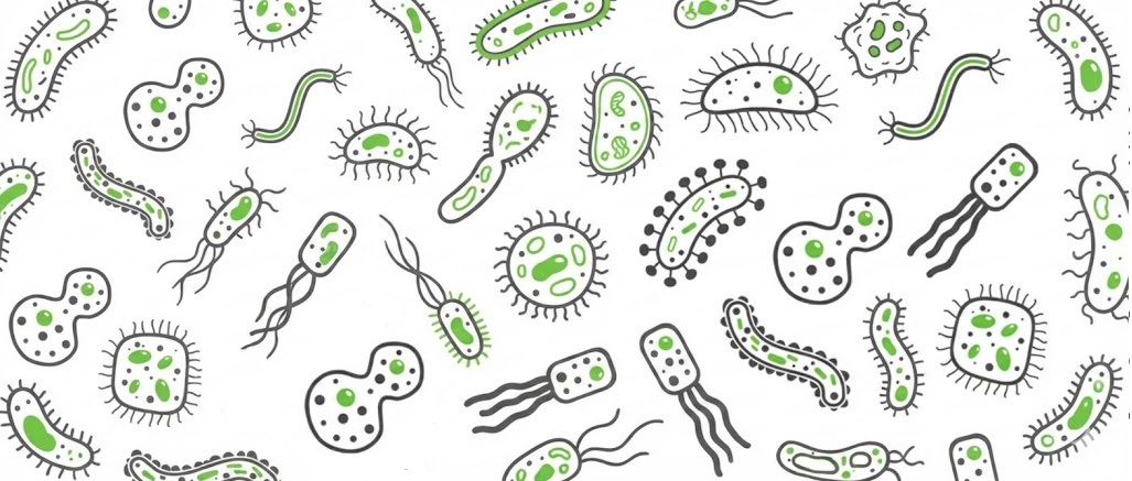 Klíma karbantartás